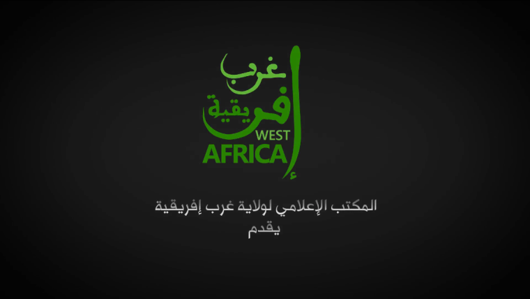 ISLAMIC STATE IN WEST AFRICA RELEASES SITREP, CLAIMS IT SHOT DOWN JET